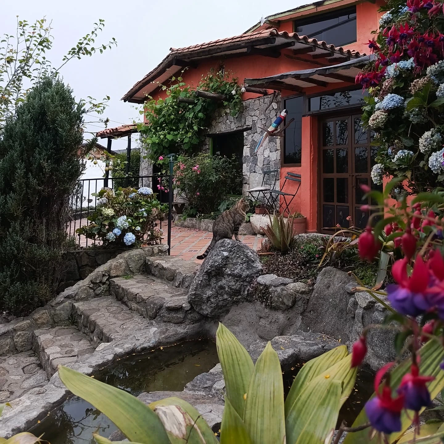 CABAÑAS LAS NUBES DE LA CULATA