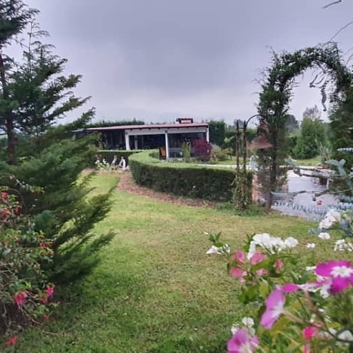 Posada Sequoia Inn
